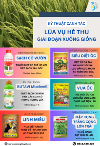 Bộ sản phẩm kỹ thuật nông nghiệp quản lý các loại dịch hại đầu vụ