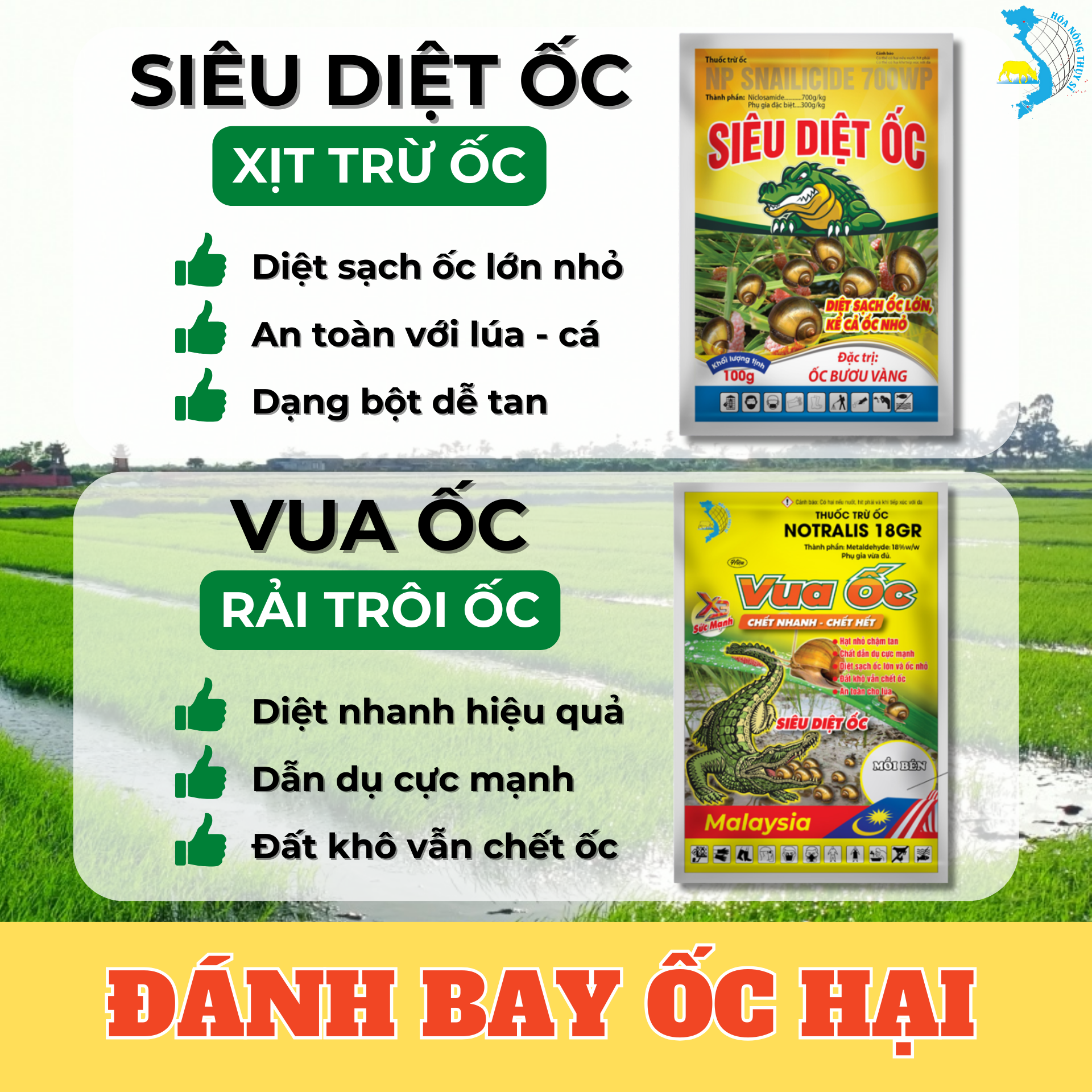 DIỆT SẠCH ỐC LỚN NHỎ VỚI BỘ ĐÔI VUA ỐC - SIÊU DIỆT ỐC