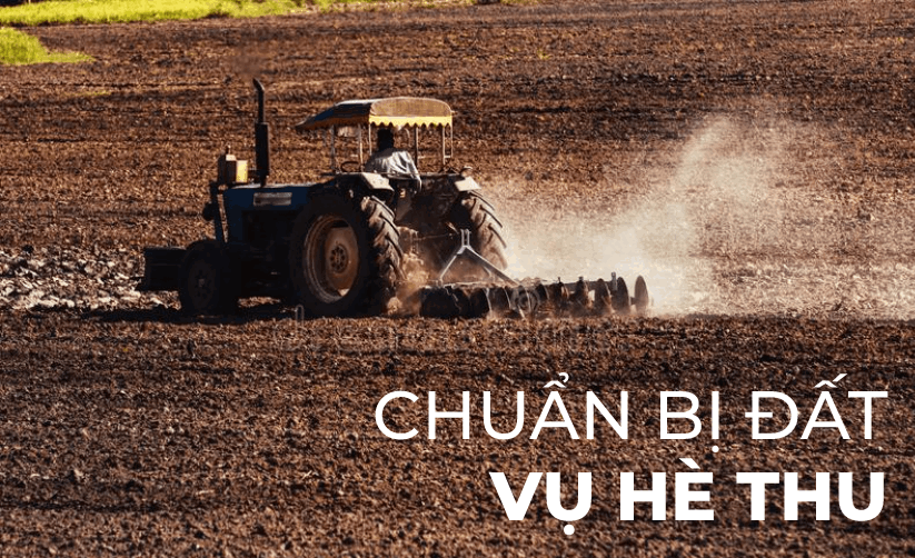 Chuẩn bị đất vụ Hè Thu để đảm bảo điều kiện sinh trưởng cho cây trồng