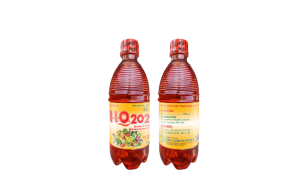 G.A 21 HOA QUẢ 202