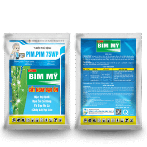 BIM MỸ – PIM.PIM