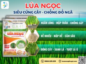 thuoc-bao-ve-thuc-vat