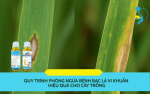 ASMILTATOP SUPER 400SC