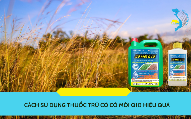 cach-su-dung-thuoc-tru-co-co-moi-q10-hieu-qua