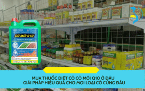 Mua thuốc diệt cỏ Cỏ Mới Q10