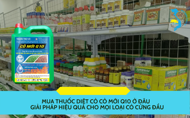Mua thuốc diệt cỏ Cỏ Mới Q10