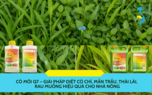 Cỏ Mới Q7