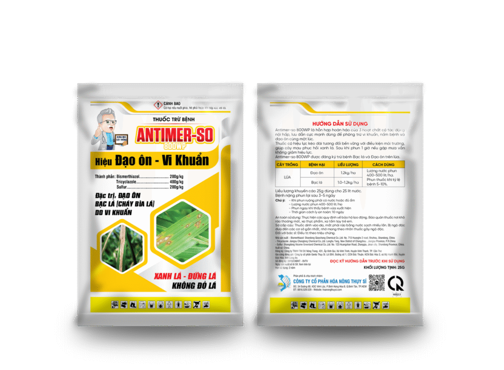 Nguyên nhân gây bệnh bạc lá trên lúa