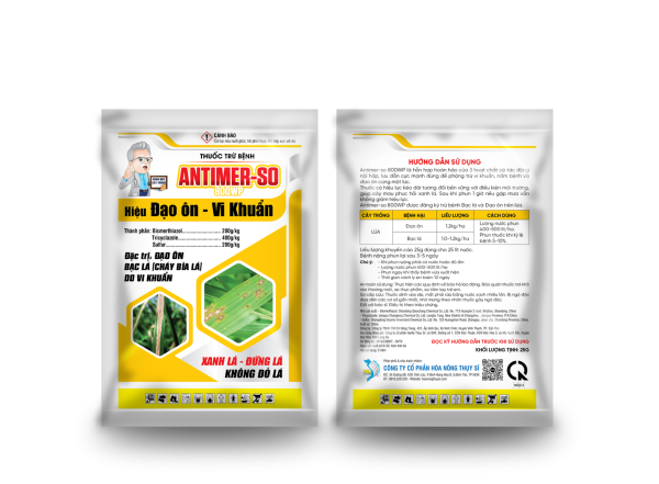 Bệnh đạo ôn giai đoạn nào nguy hiểm