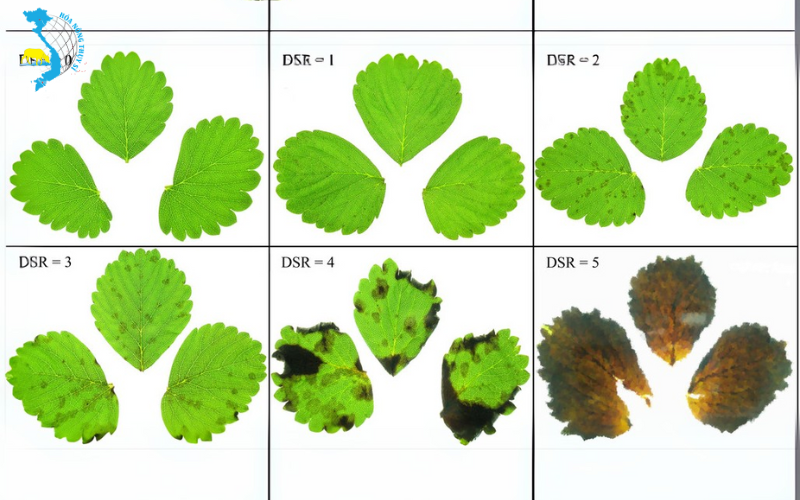 tac-nhan-gay-hai-benh-than-thu