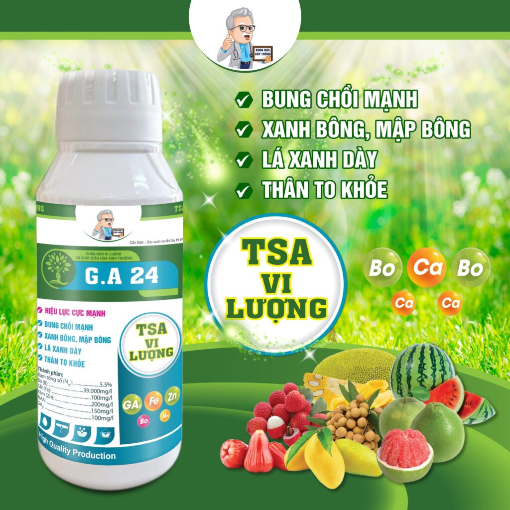 BỘ 3 VUA DƯỠNG TSA