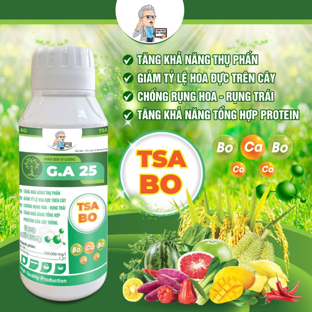 BỘ 3 VUA DƯỠNG TSA