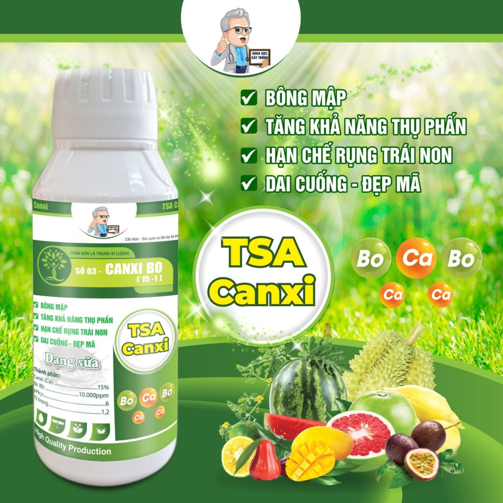 BỘ 3 VUA DƯỠNG TSA