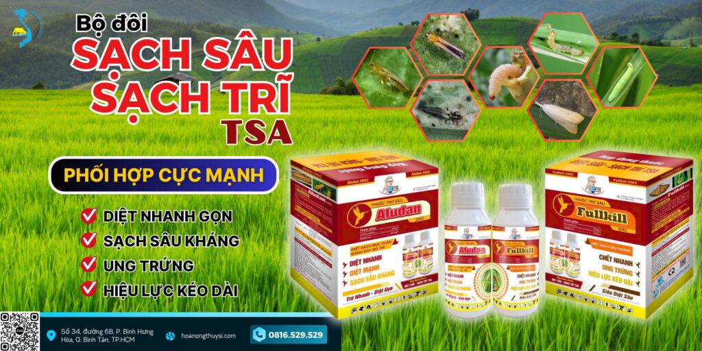 Bộ đôi sạch sâu sạch trĩ