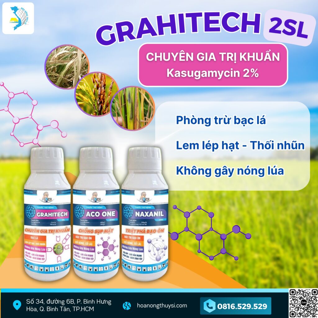 bộ ba trị bệnh