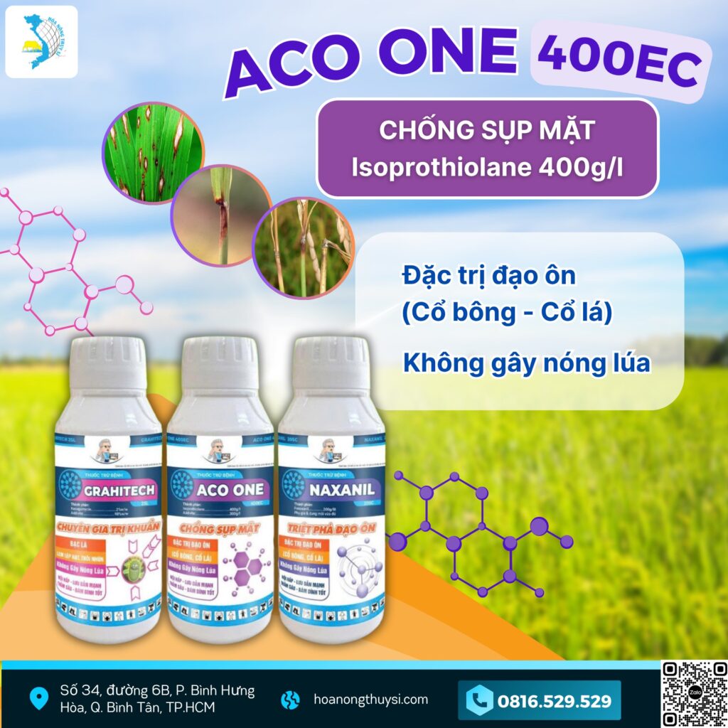 bộ ba trị bệnh