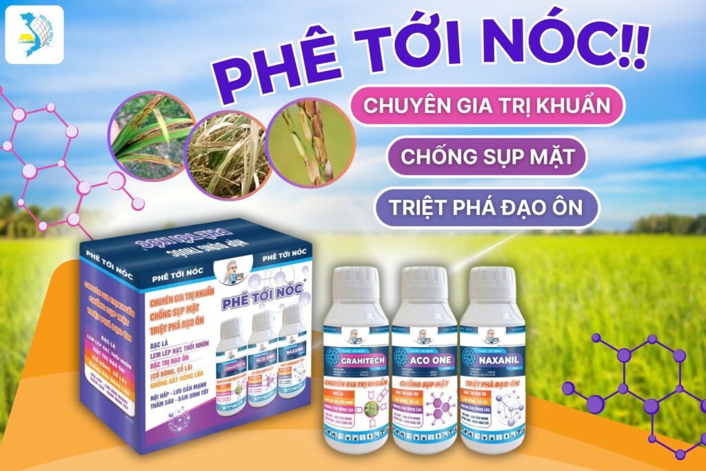 bộ ba trị bệnh