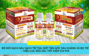 Bộ đôi sạch sâu sạch trĩ