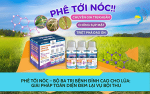 bộ ba trị bệnh