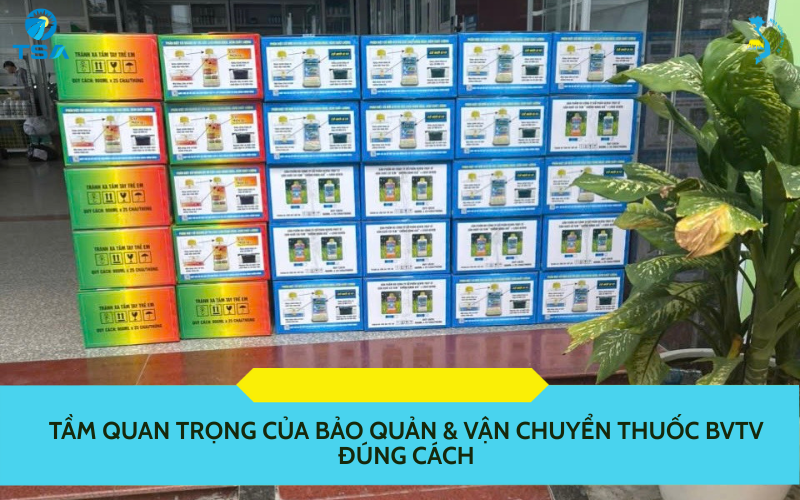 Bảo quản và vận chuyển thuốc BVTV
