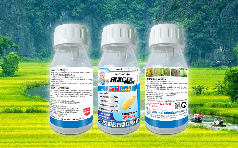 Các loại nấm gây bệnh lem lép hạt