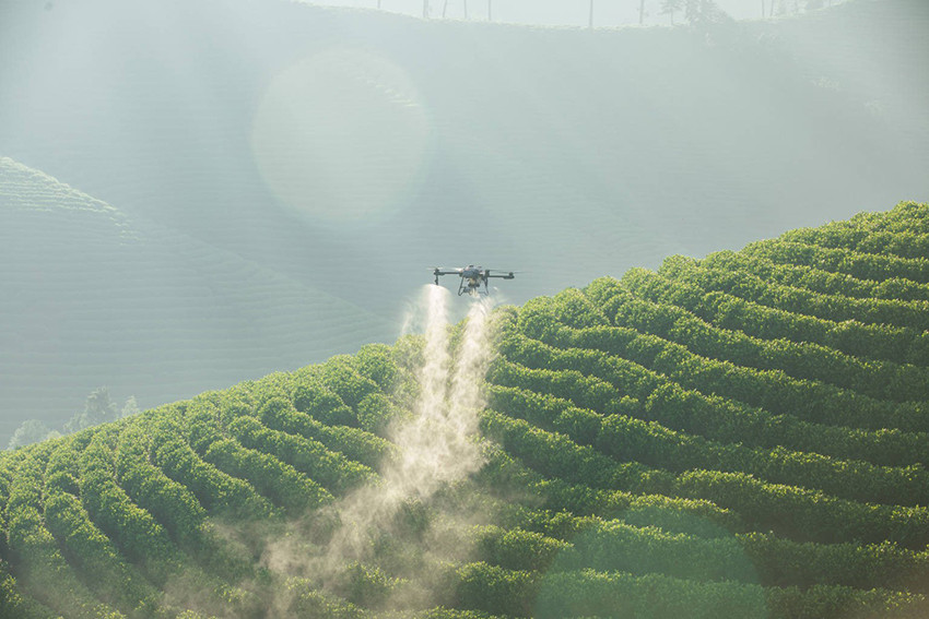 nhu cầu thuốc BVTV