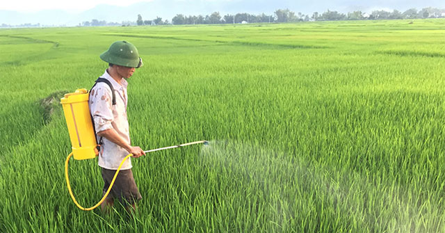 nhu cầu thuốc BVTV