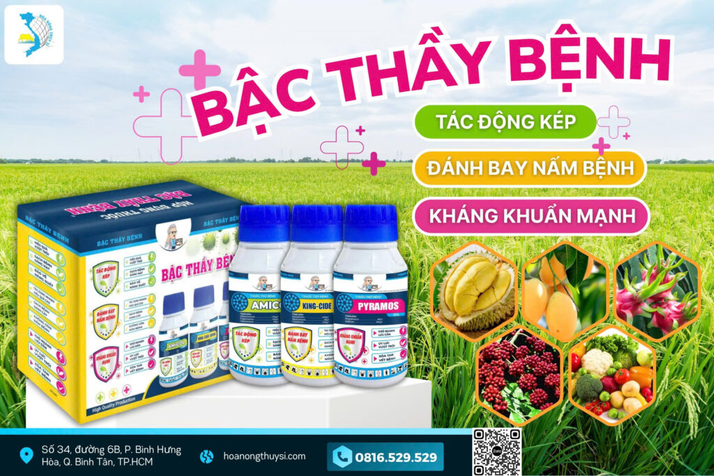 Bậc Thầy Bệnh