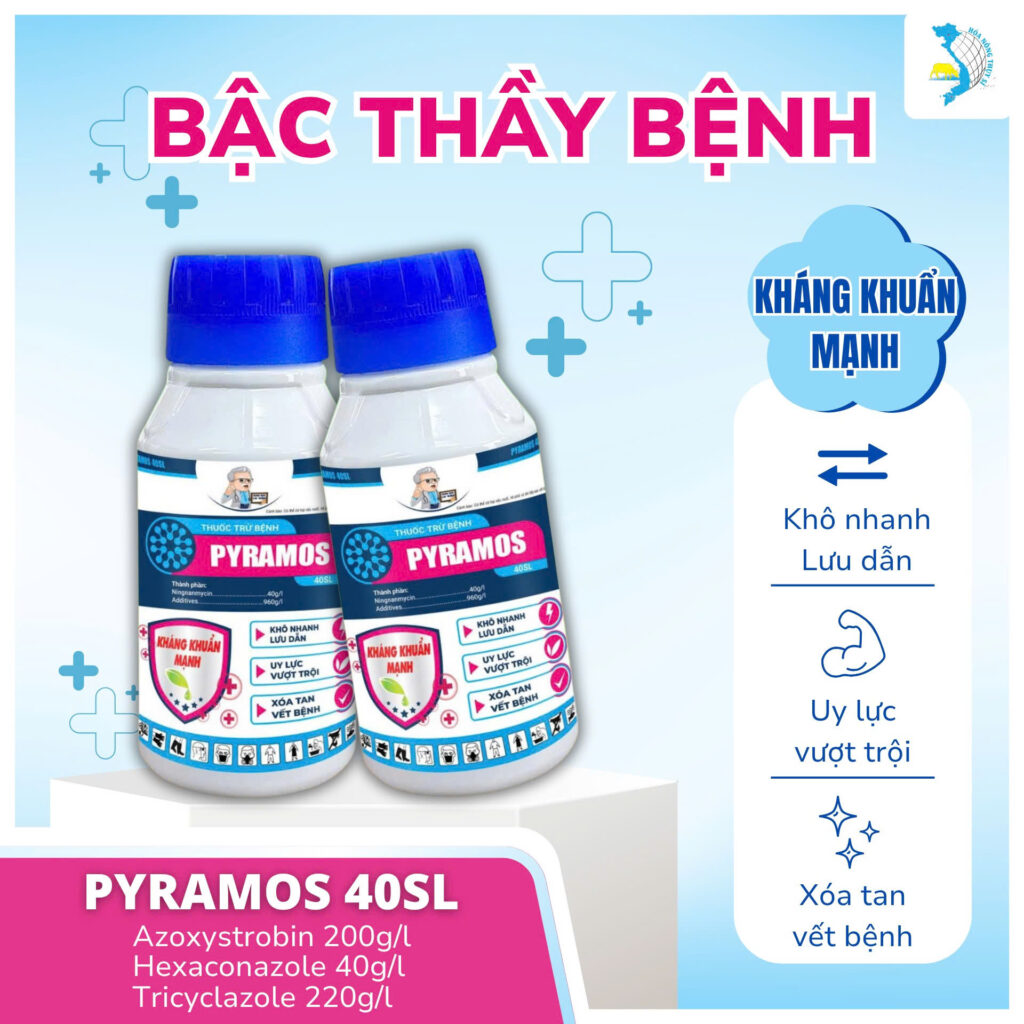 Bậc Thầy Bệnh