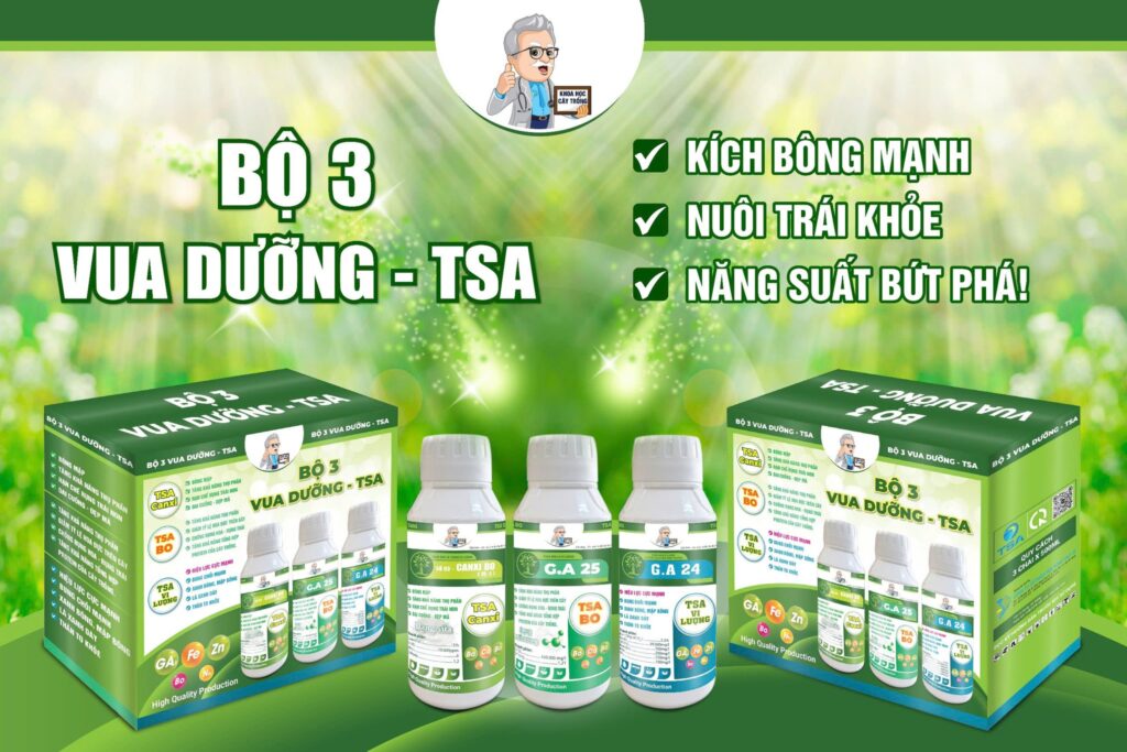 Sâu bệnh theo vụ mùa