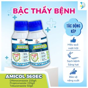 bo-3-bac-thay-benh