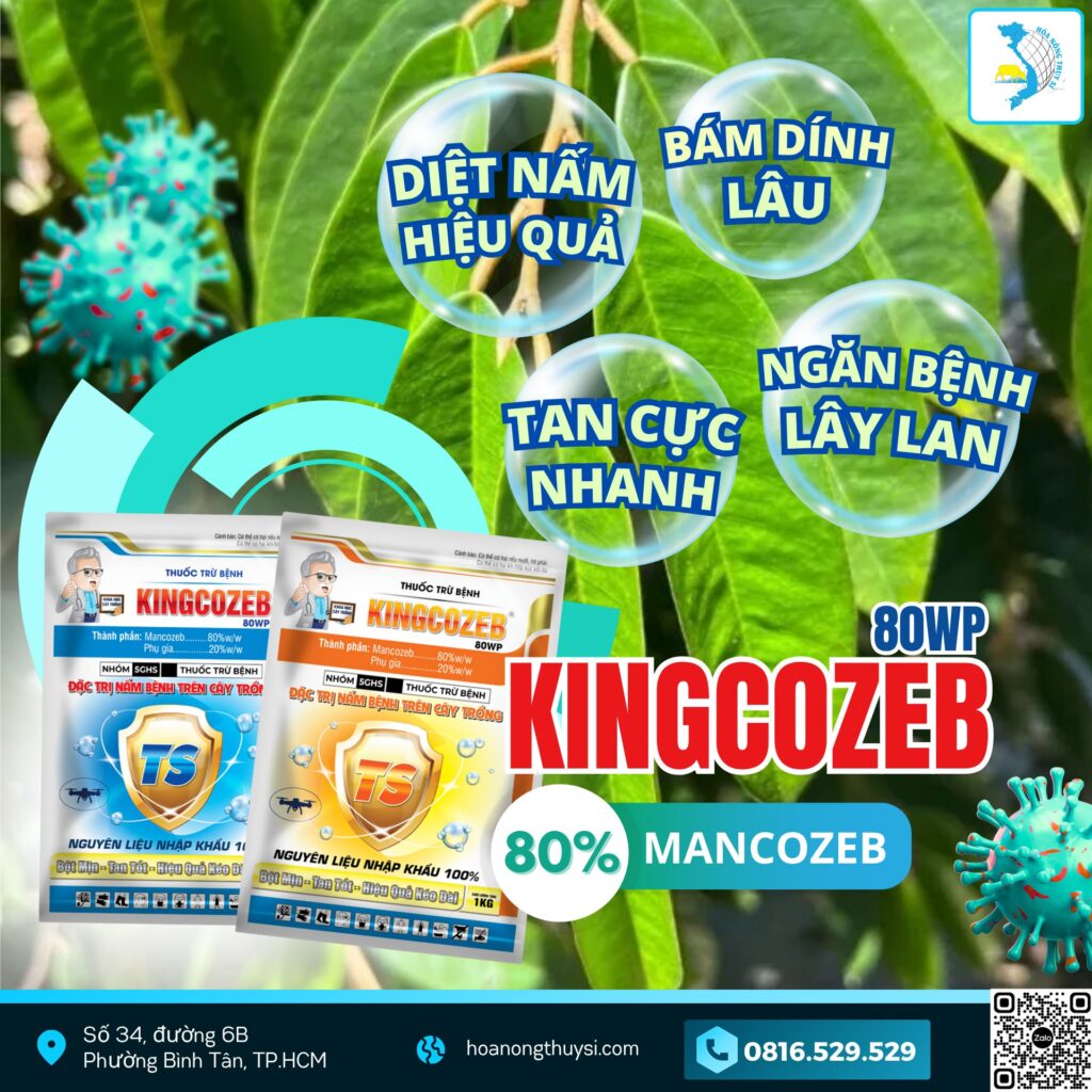 Hướng Dẫn Phun KINGCOZEB 80WP