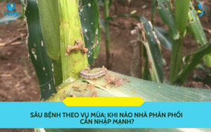 Sâu bệnh theo vụ mùa