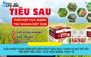 kiểm soát sâu đục thân và bọ trĩ