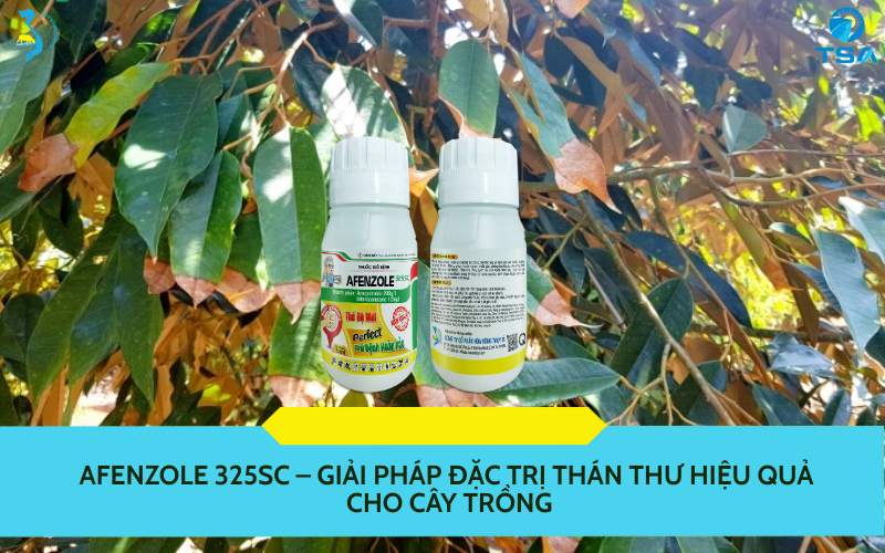 AFENZOLE 325SC