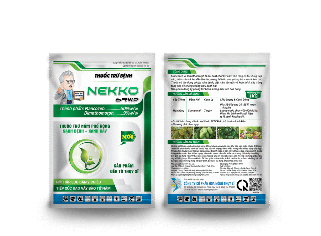 Kỹ Thuật Trị Bệnh Sương Mai Hoa Hồng