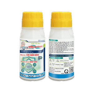 Kỹ Thuật Trị Bệnh Sương Mai Cà Chua