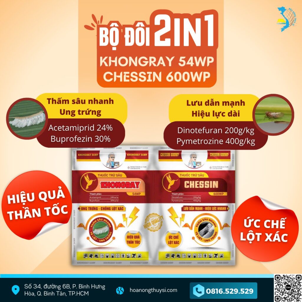 Bọ trĩ trên sầu riêng