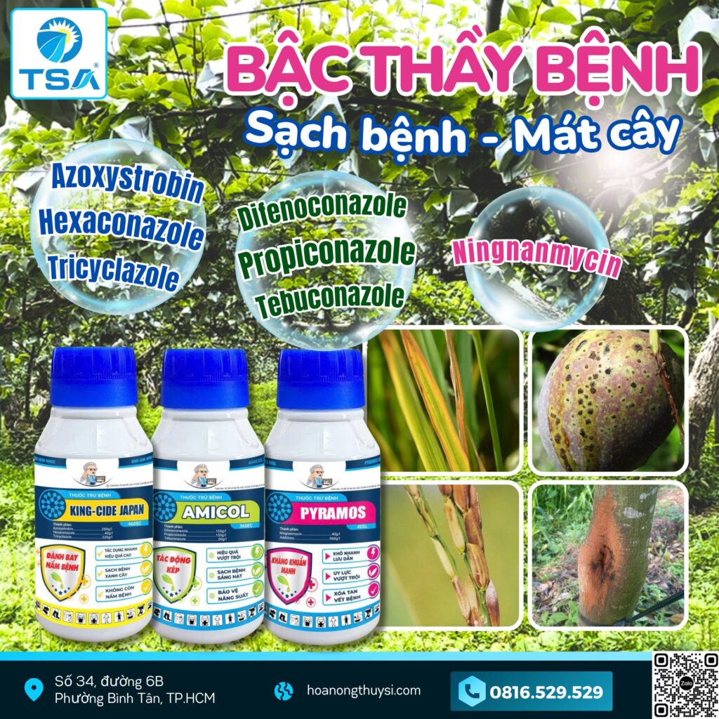 Bộ 3 Bậc Thầy Bệnh