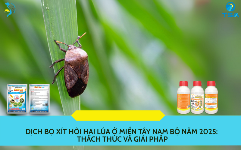 Dịch Bọ Xít Hôi