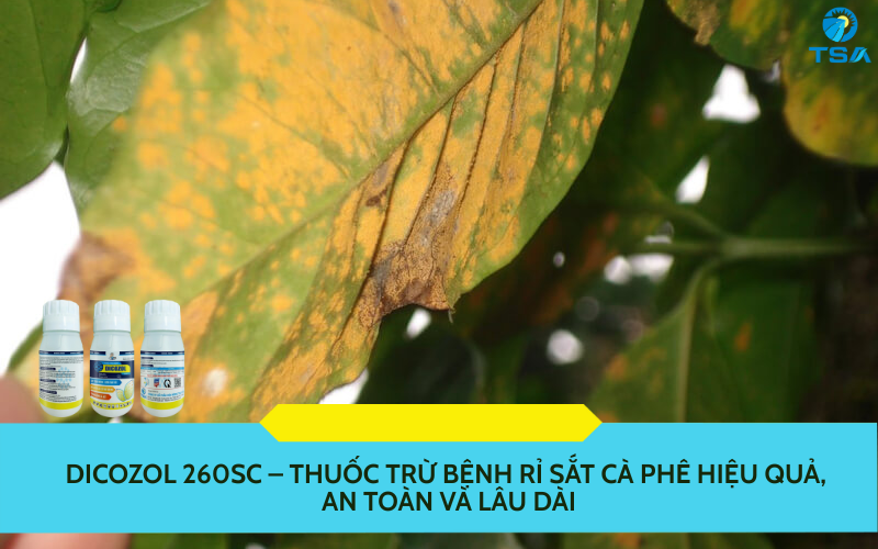 DICOZOL 260SC