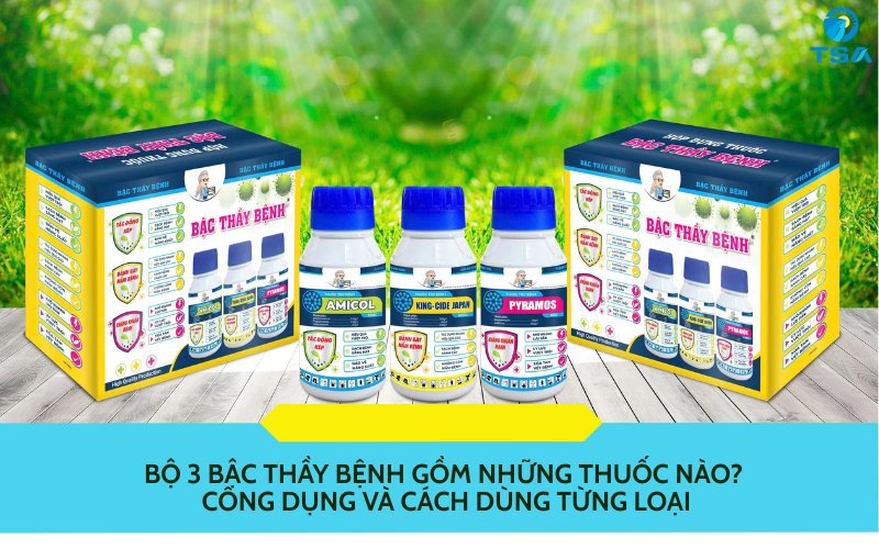 Bộ 3 Bậc Thầy Bệnh
