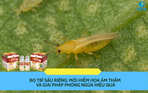 Bọ trĩ sầu riêng