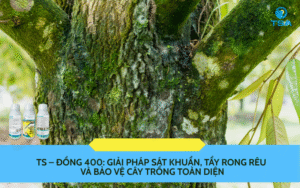 TS – ĐỒNG 400