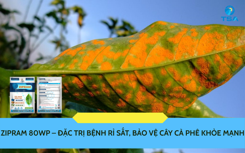 ZIPRAM 80WP