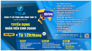 tuyển nhân viên kinh doanh thuốc BVTB