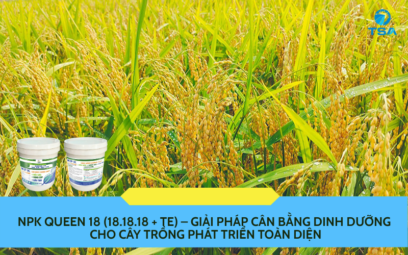 NPK QUEEN 18 (18.18.18 + TE)