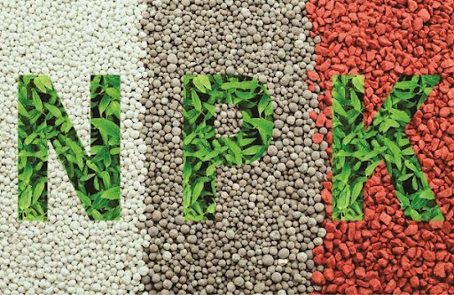 NPK QUEEN 18 (18.18.18 + TE)