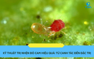 Kỹ Thuật Trị Nhện Đỏ Cam