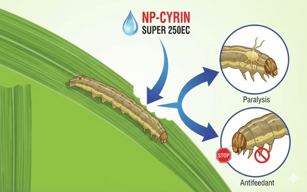 NP-CYRIN SUPER 250EC
